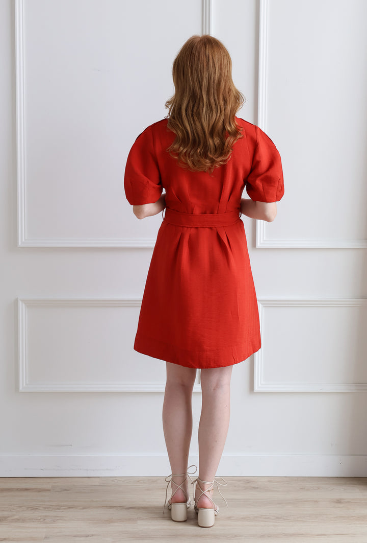 Pleated Day Dress - Amber