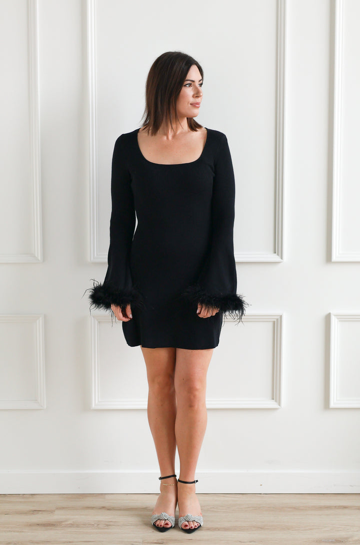Seraphina Feather Sleeve Mini