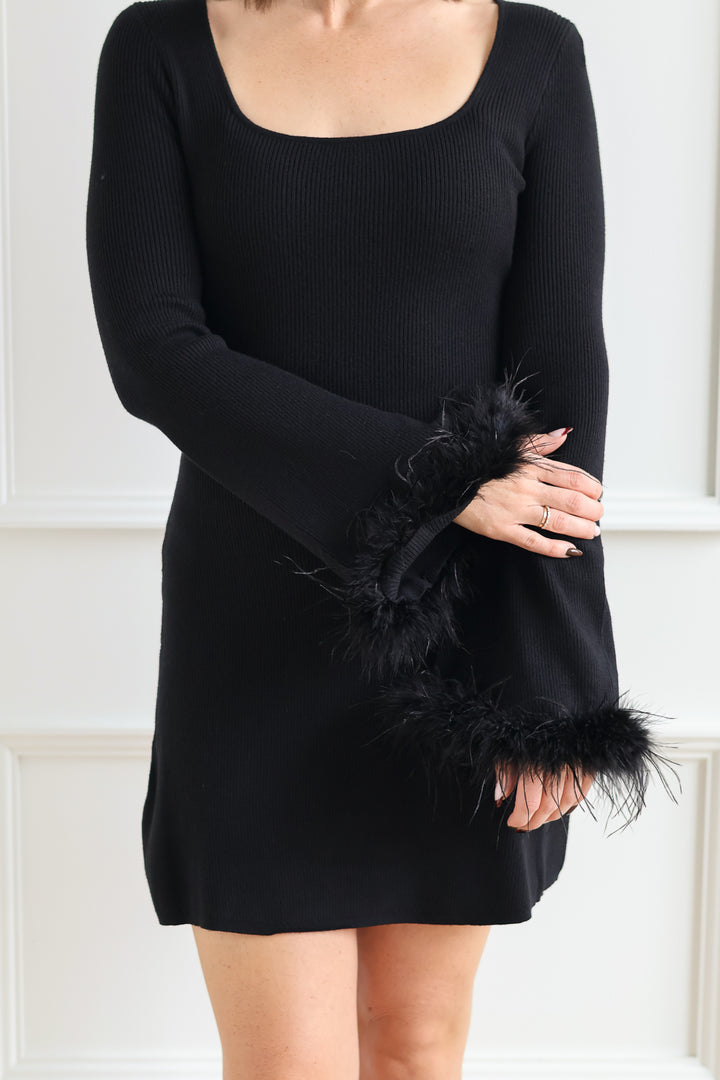 Seraphina Feather Sleeve Mini