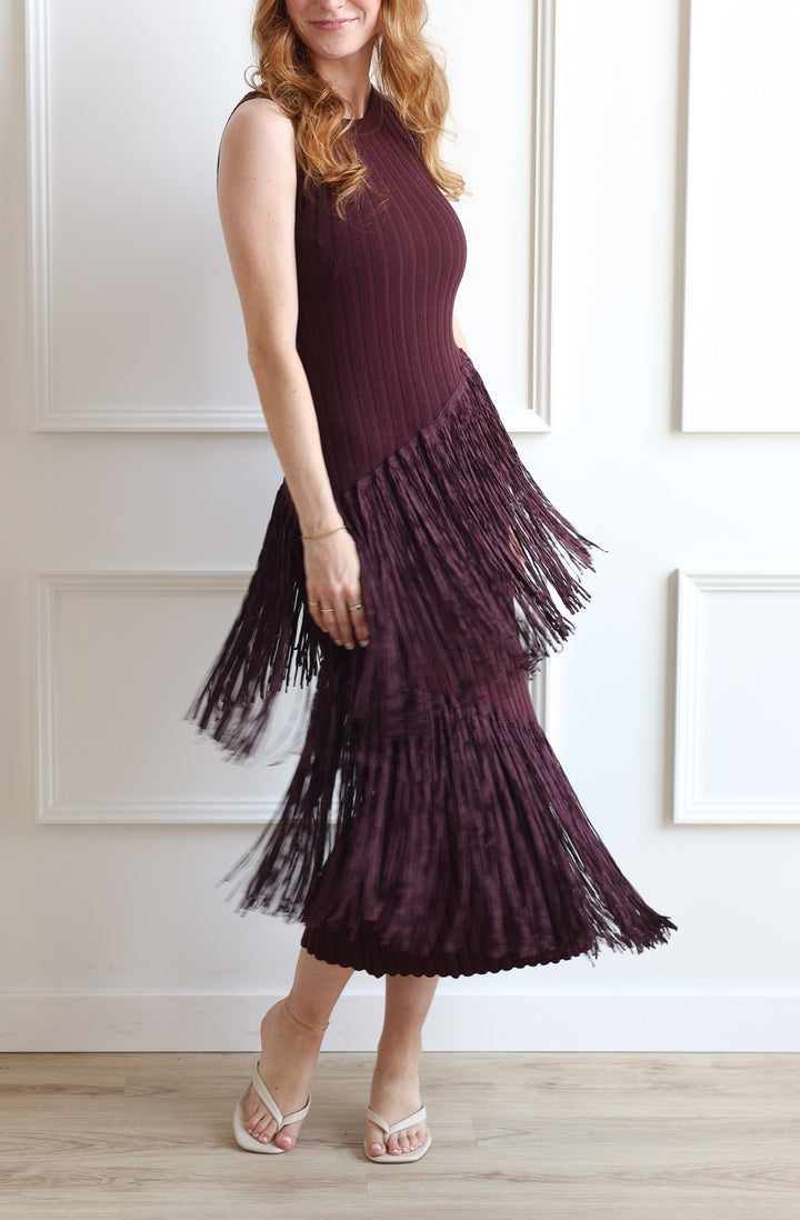 Burgundy Tassel Knit Dress