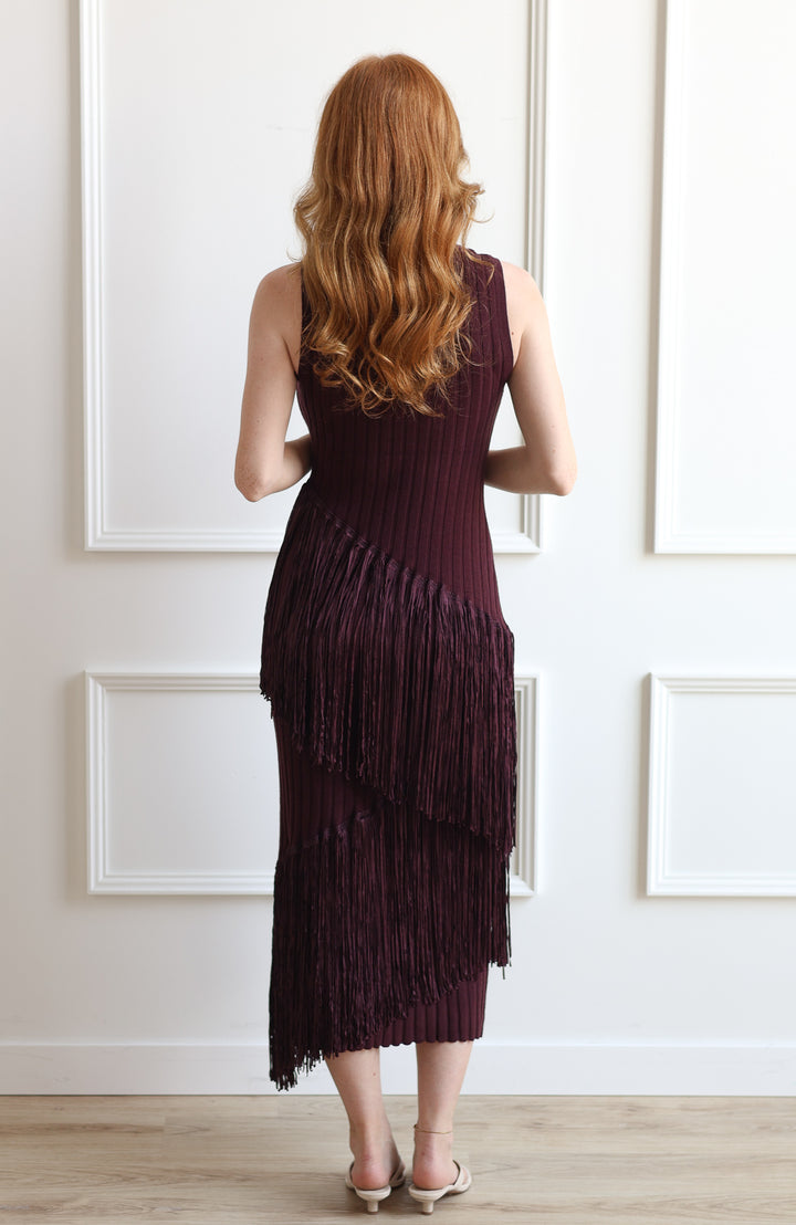 Burgundy Tassel Knit Dress