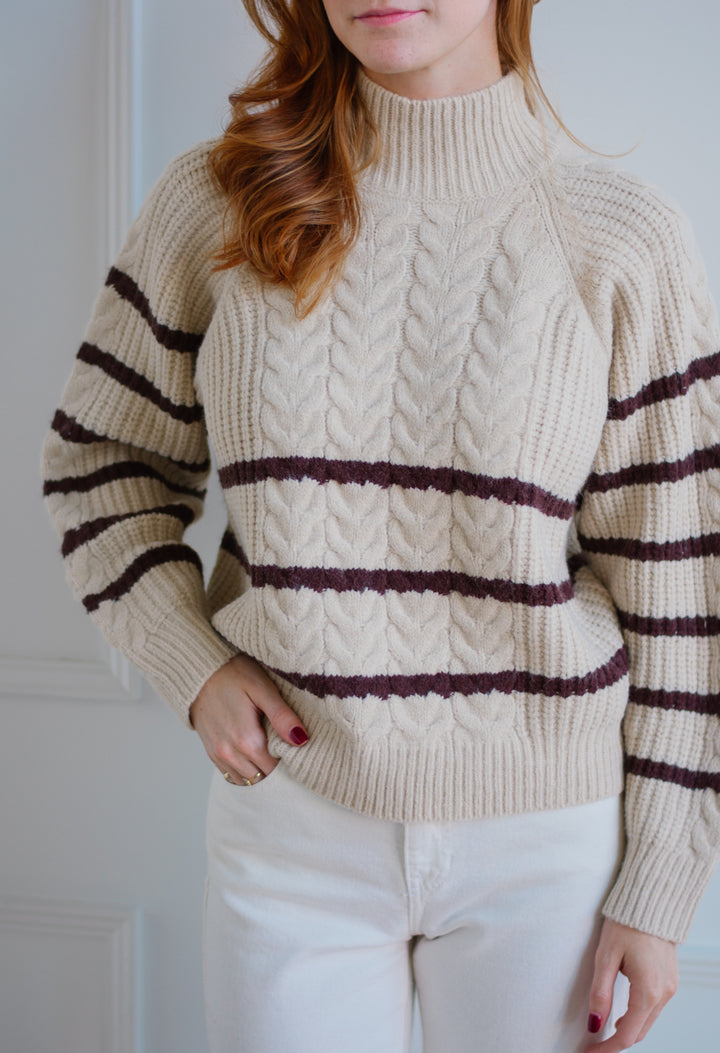 Spice Striped Chunky Turtleneck